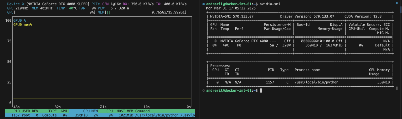 Featured image of post NVIDIA GPU access inside a Proxmox LXC